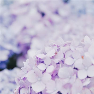 青云仙途手游(暂未上线)v1.0 官方安卓版